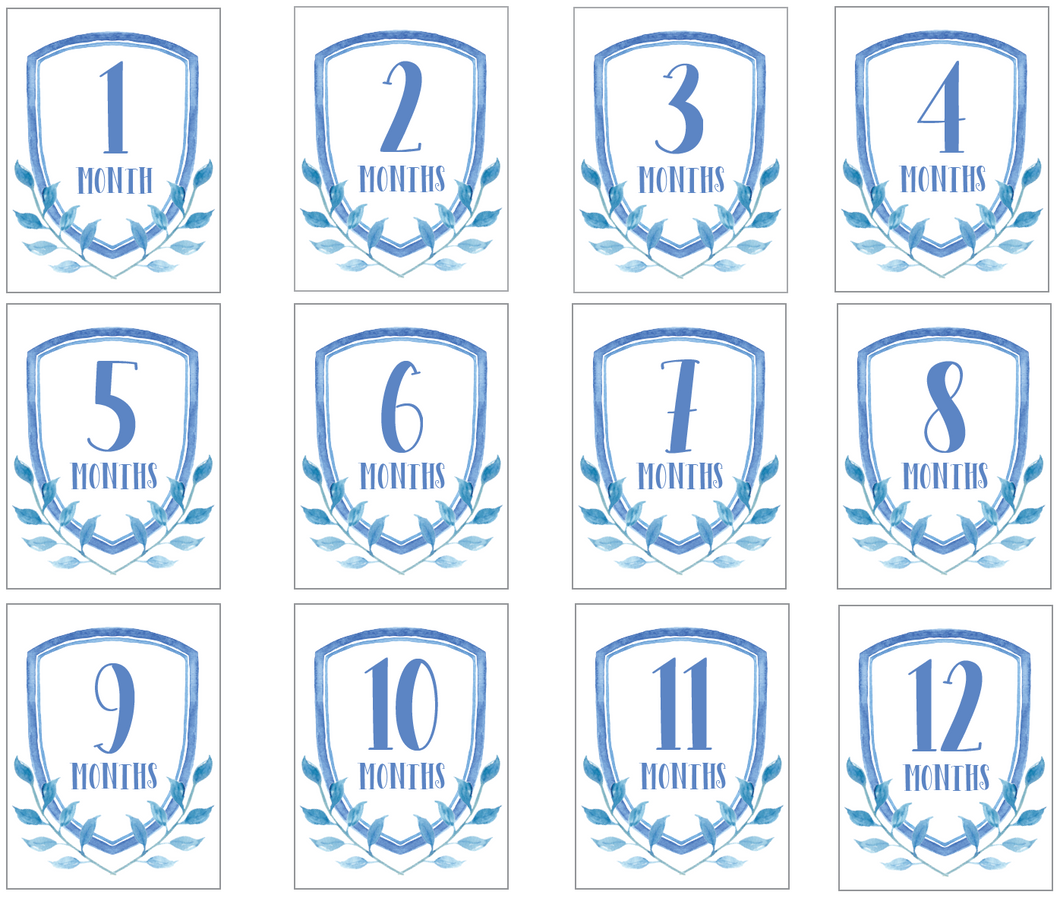 Blue Milestone Cards